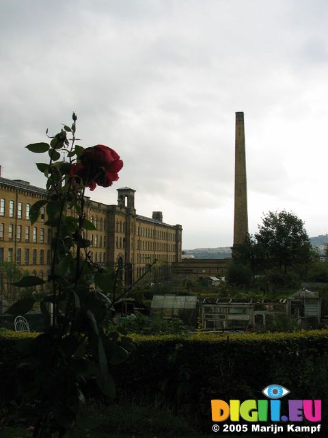 15178 Rose and salts mill
